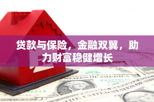 应城贷款与保险，金融双翼，助力财富稳健增长