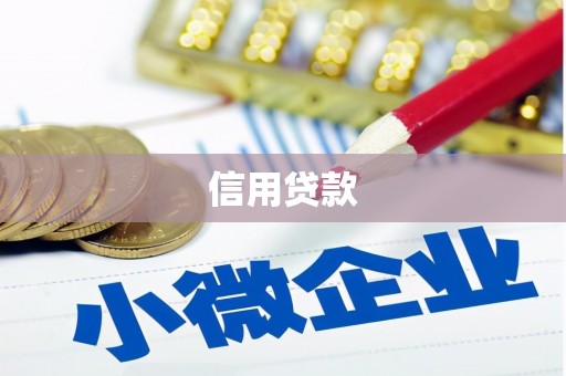 应城信用贷款