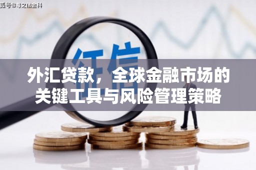 应城外汇贷款，全球金融市场的关键工具与风险管理策略