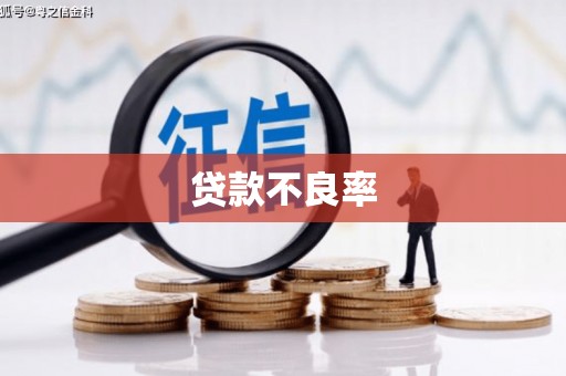 应城贷款不良率