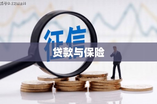 应城贷款与保险