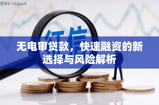 应城无电审贷款，快速融资的新选择与风险解析