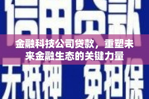 应城金融科技公司贷款，重塑未来金融生态的关键力量