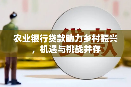 应城农业银行贷款助力乡村振兴，机遇与挑战并存
