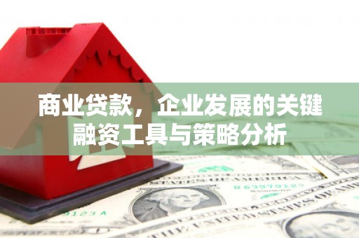 应城商业贷款，企业发展的关键融资工具与策略分析