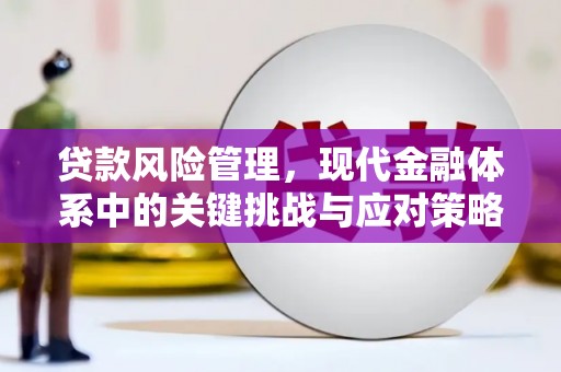 应城贷款风险管理，现代金融体系中的关键挑战与应对策略