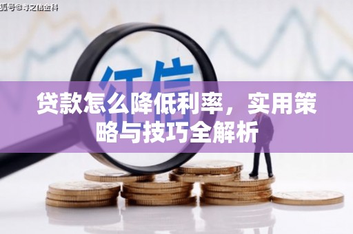 应城贷款怎么降低利率，实用策略与技巧全解析