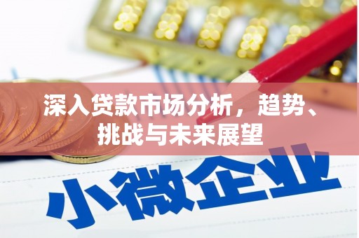 应城深入贷款市场分析，趋势、挑战与未来展望