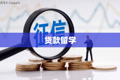 应城贷款留学
