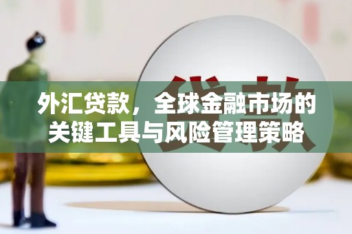 应城外汇贷款，全球金融市场的关键工具与风险管理策略