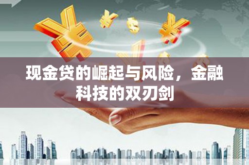 应城现金贷的崛起与风险，金融科技的双刃剑