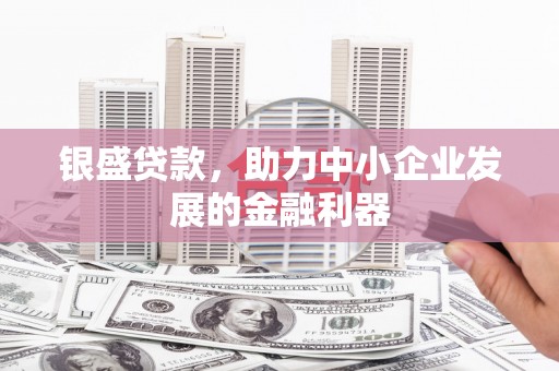 应城银盛贷款，助力中小企业发展的金融利器