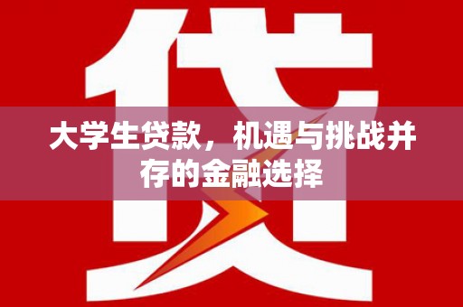 应城大学生贷款，机遇与挑战并存的金融选择