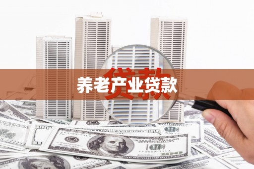 应城养老产业贷款