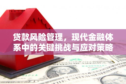 应城贷款风险管理，现代金融体系中的关键挑战与应对策略