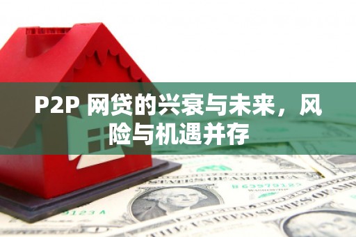 应城P2P 网贷的兴衰与未来，风险与机遇并存