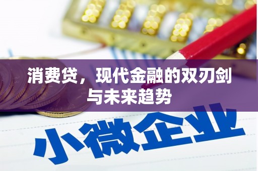 应城消费贷，现代金融的双刃剑与未来趋势
