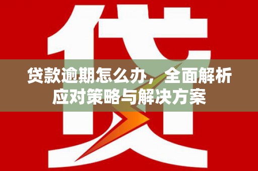 应城贷款逾期怎么办，全面解析应对策略与解决方案